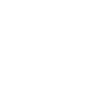 Animal Flow